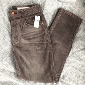 BNWT Anthropologie Pilcro Corduroy Pants